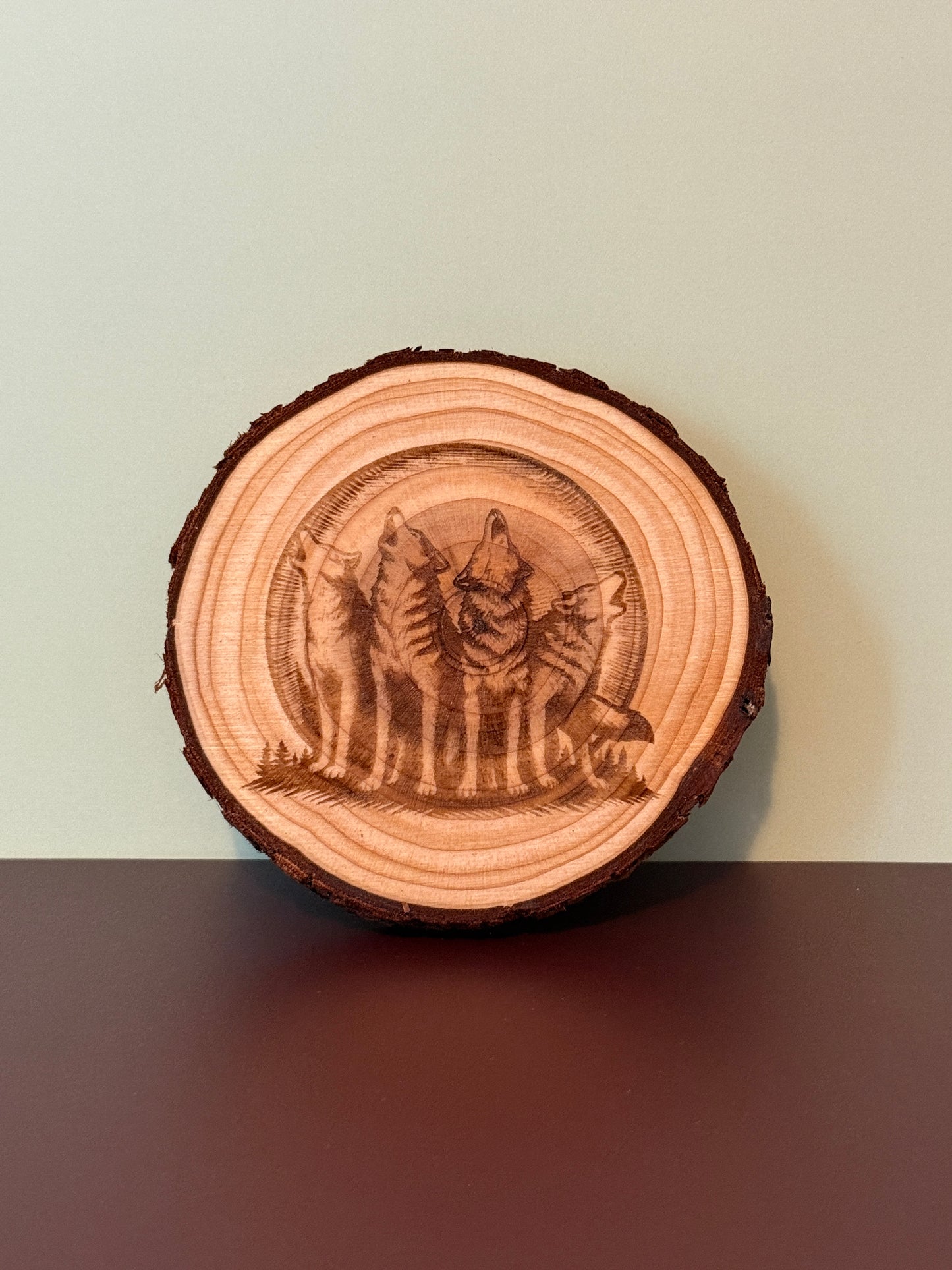 Live Edge Wood Coaster Set