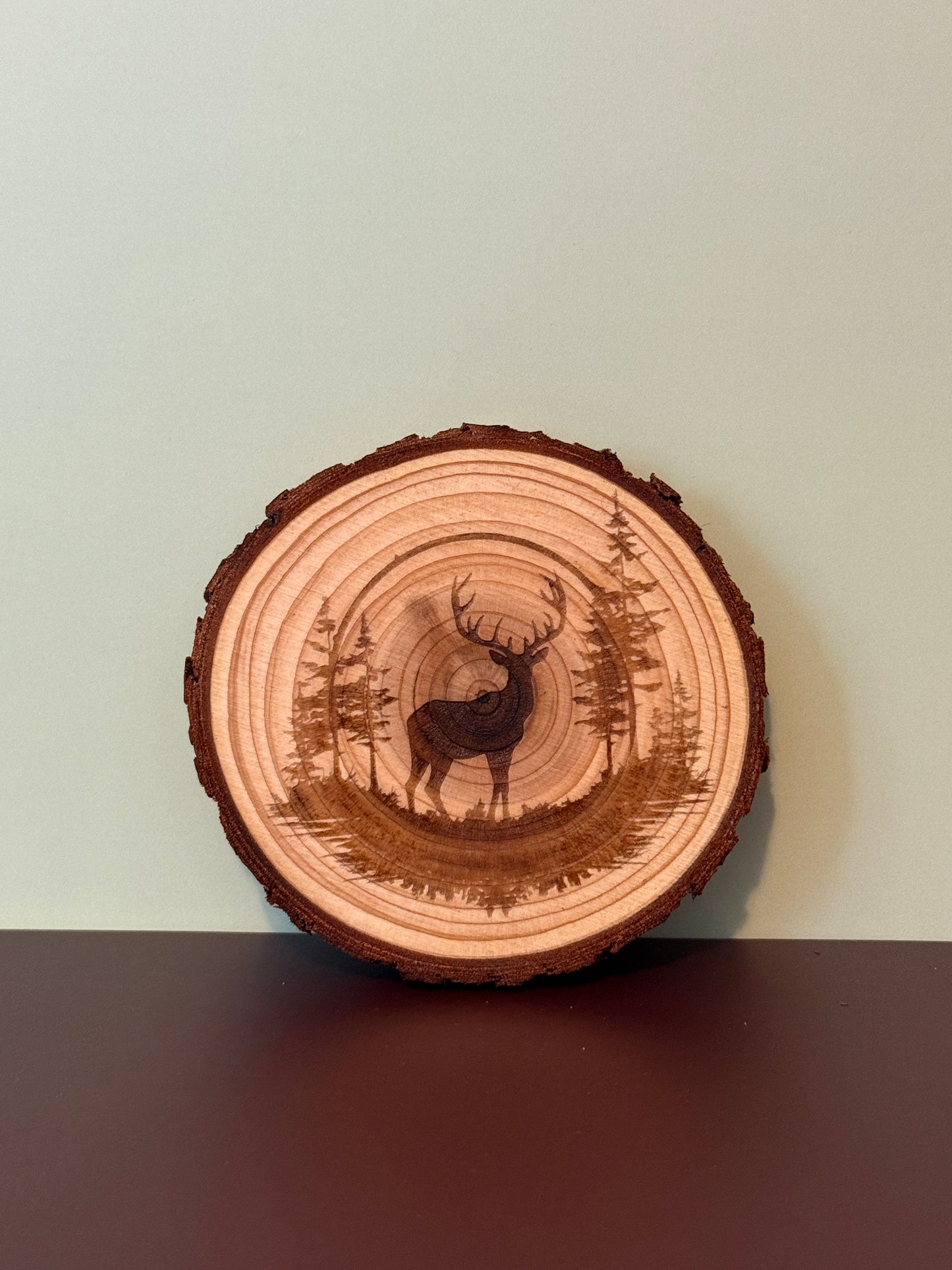 Live Edge Wood Coaster Set