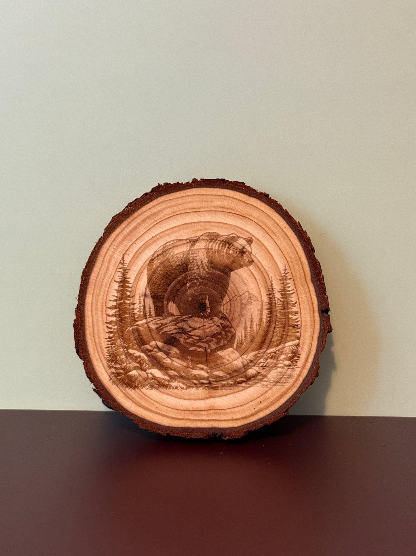 Live Edge Wood Coaster Set