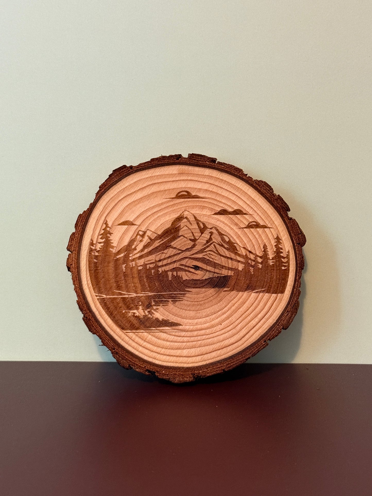 Live Edge Wood Coaster Set