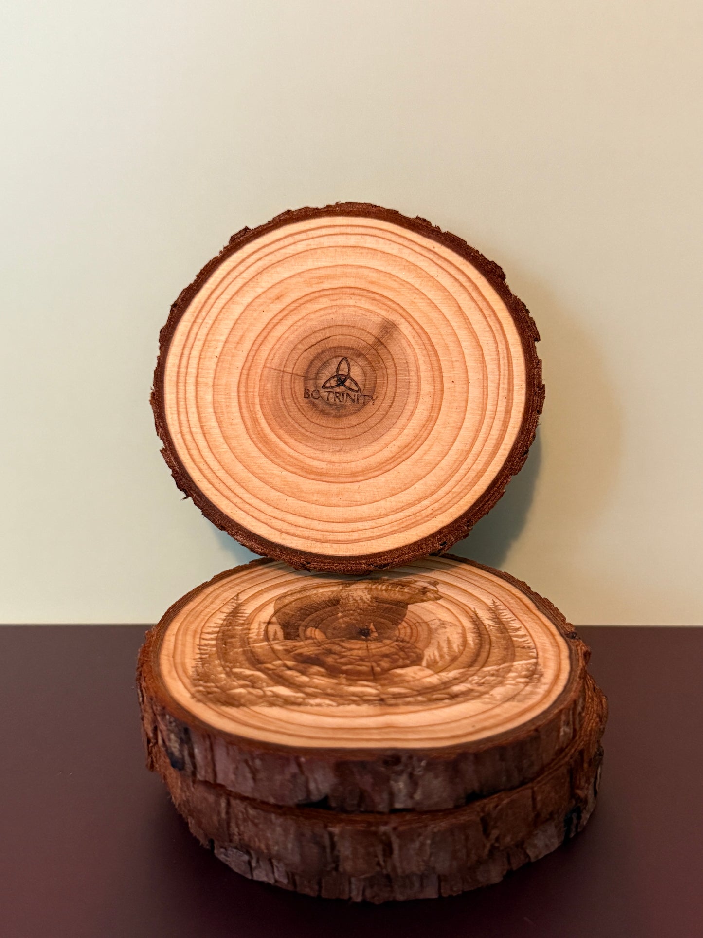 Live Edge Wood Coaster Set